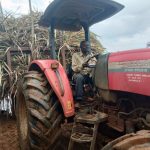 Mr.-Joseck-ready-to-go-and-deliver-seed-cane-to-a-farmer-in-Sigalame-in-Funyula-Sub-County-in-Busia-County-1024x768